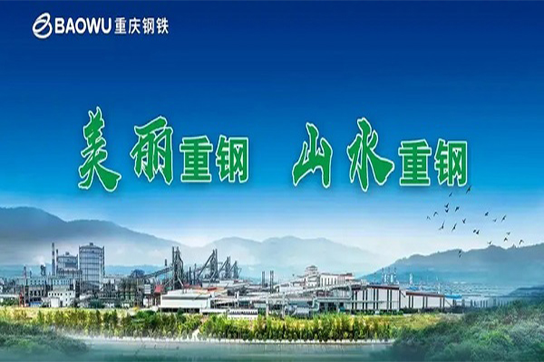 【重慶鋼鐵股份有限公司煉鋼廠(chǎng)項目】橡膠軟連